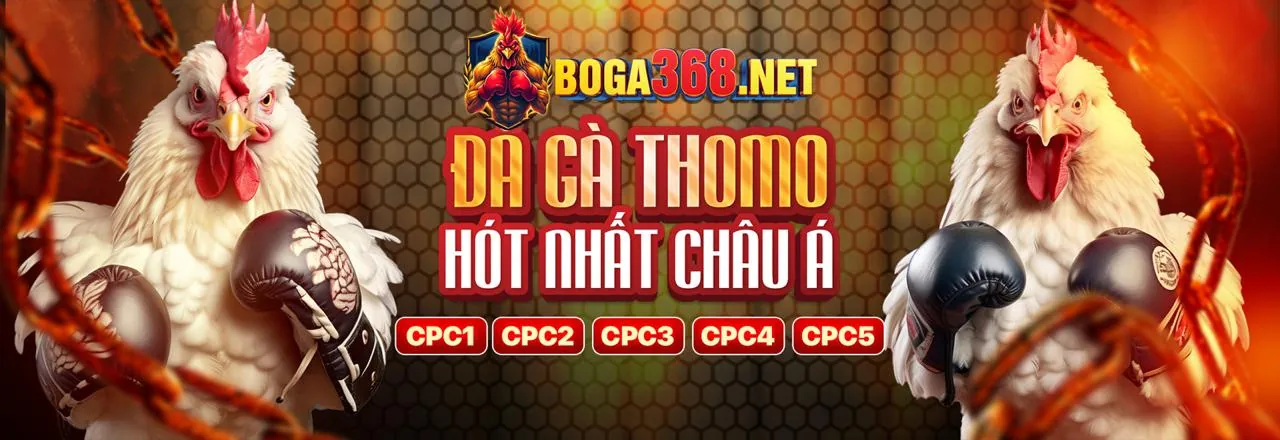 Đá gà trực tuyến y888now với các trận đấu kịch tính