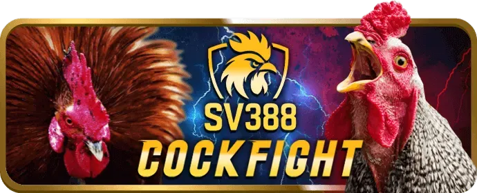 Cá cược thể thao y888now